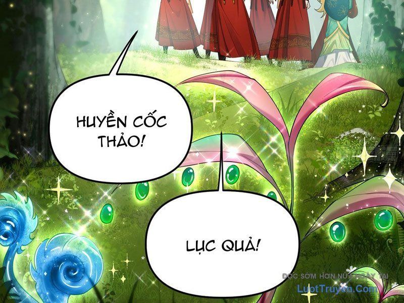 Kim Đan To Bằng Hằng Tinh! Ngươi Gọi Đây Mà Là Tu Tiên Á?! Chap 8 - Next Chap 9