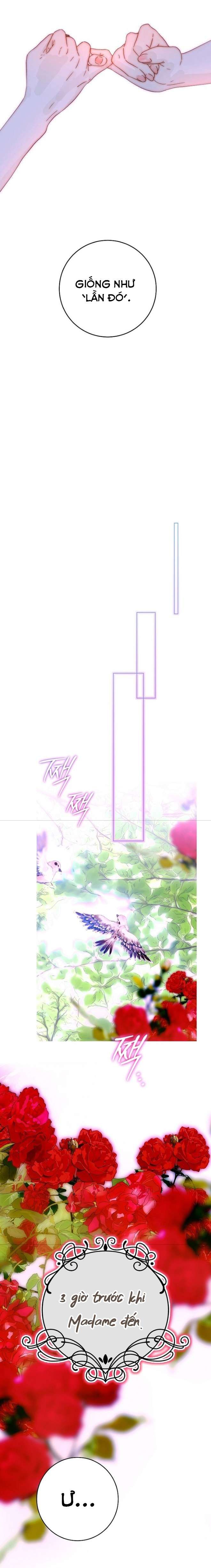 Những Mảnh Vỡ Của Giấc Mộng Thủy Tinh Chap 26 - Next Chap 27