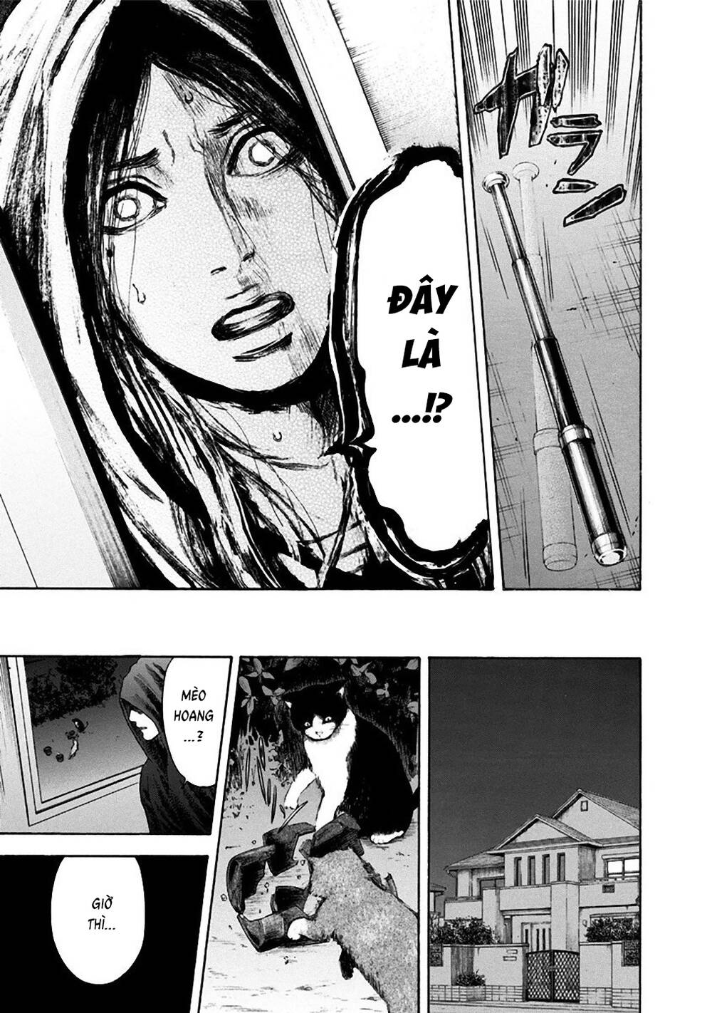 Song Trùng Tuyến Yokohama Chap 25 - Next Chap 26