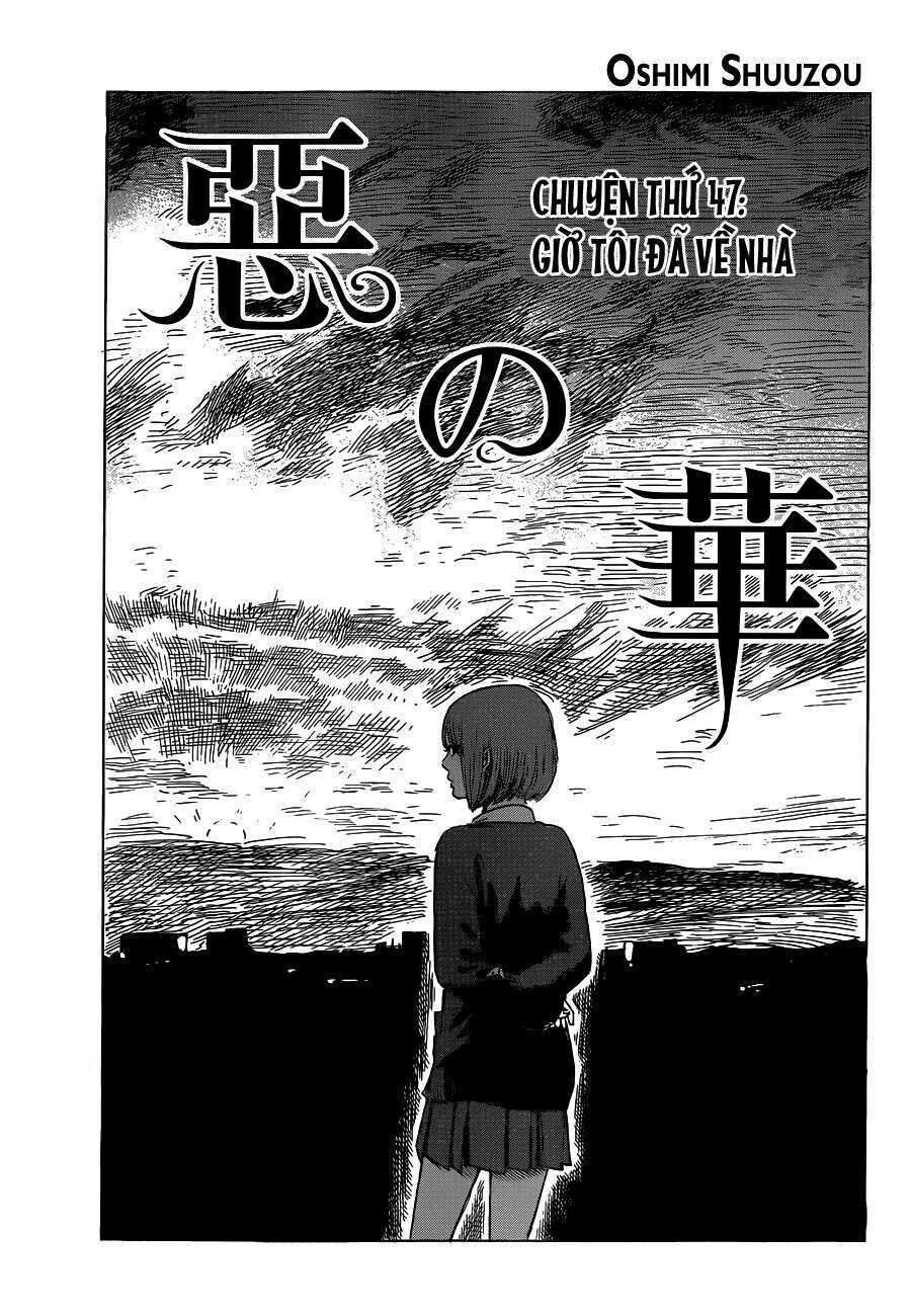 Aku No Hana – Những Bông Hoa Ác Chap 47 - Next Chap 48
