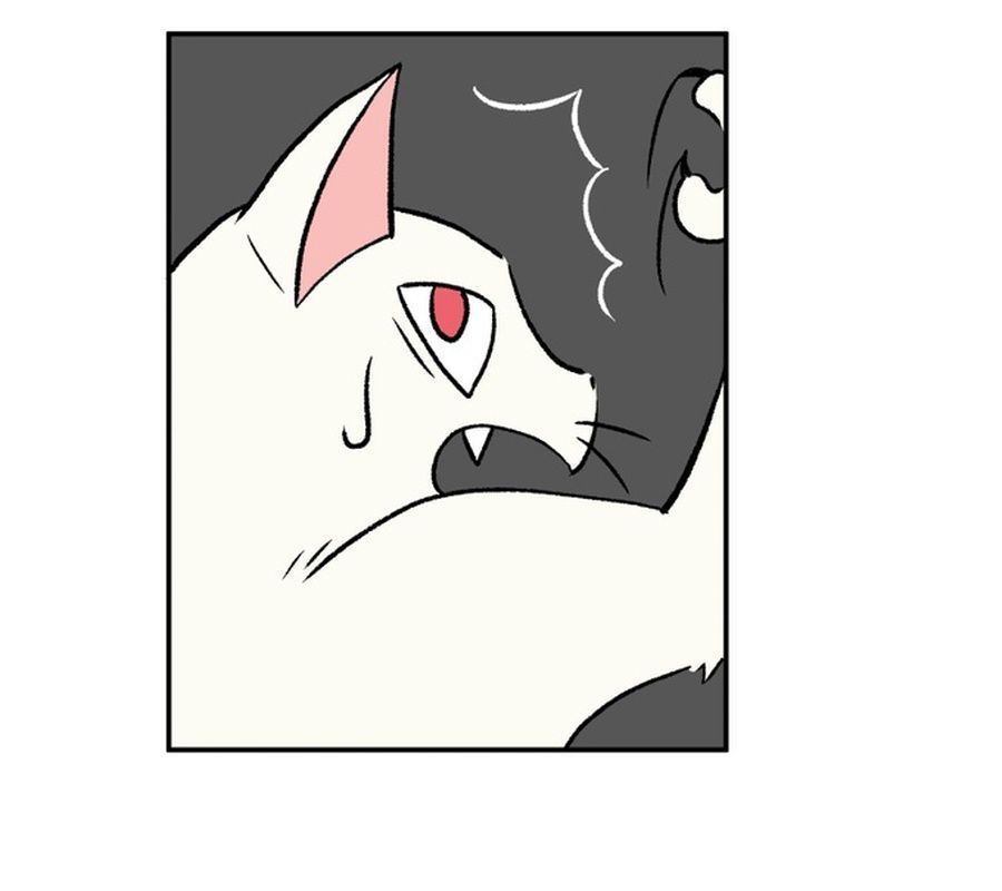 Morgana And Oz Chap 6 - Next Chap 7