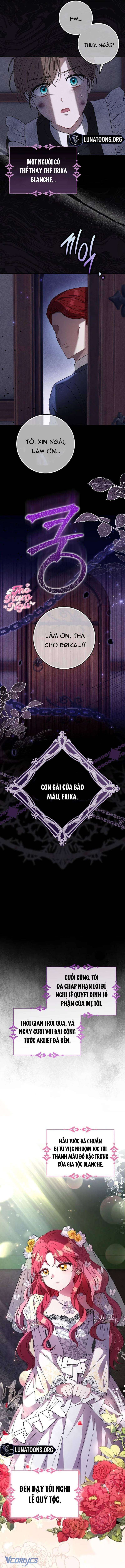 Nàng Dâu Giả Sẽ Bỏ Trốn Vào Một Ngày Nào Đó Chap 1 - Next Chap 2