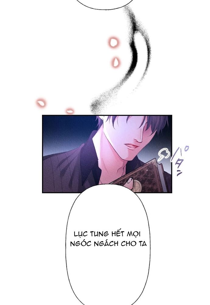 Từ Tiểu Thư Bị Lãng Quên Đến Người Được Hoàng Gia Sủng Ái Chap 2 - Next Chap 3