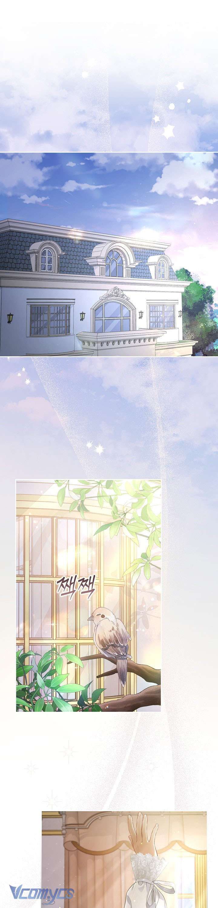 Tôi Đã Xem Một Vở Kịch Chap 1 - Next Chap 2