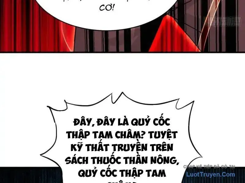 Tẩu Tử: Ta Thật Không Phải Kẻ Ngốc Chap 24 - Next Chap 25