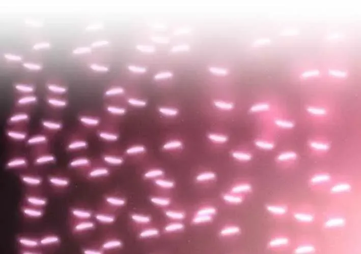 Lây Nhiễm - Làm Sóng Zombie Chap 15 - Next Chap 16