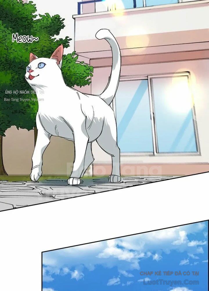 Thiên Ma Và Phù Thủy Băng Giá Chap 14 - Next Chap 15