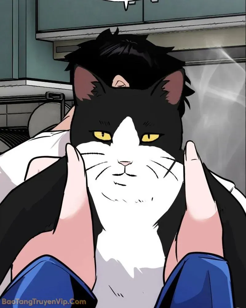 Dàn Harem Của Anh Bán Rong Chap 2 - Next Chap 3