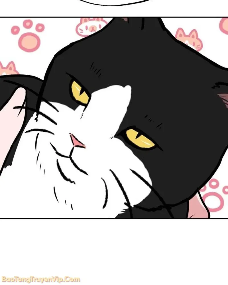 Dàn Harem Của Anh Bán Rong Chap 2 - Next Chap 3