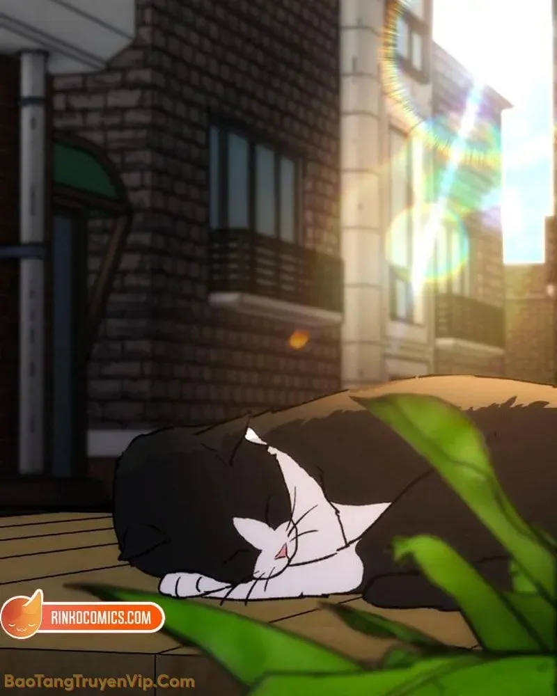 Dàn Harem Của Anh Bán Rong Chap 4 - Next Chap 5