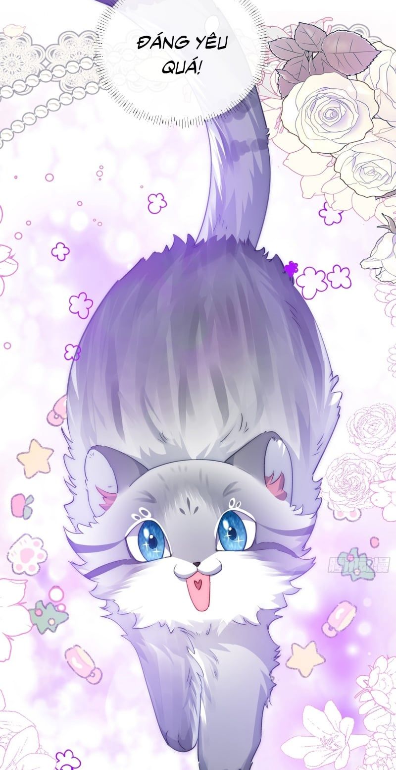 Cả Vũ Trụ Đều Muốn Thân Thiết Với Tôi Chap 11 - Next Chap 12