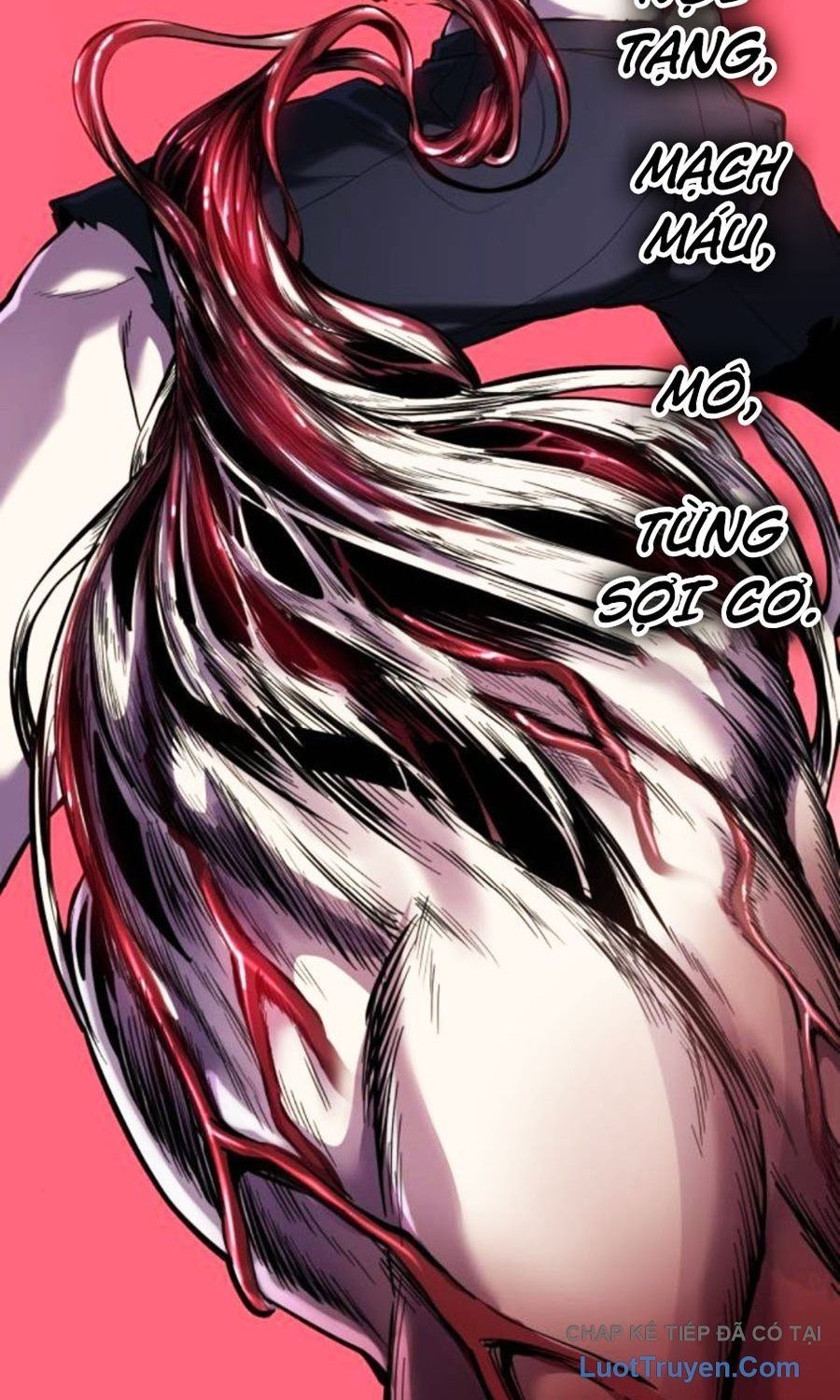 Cậu Bé Của Thần Chết Chap 310 - Next Chap 311