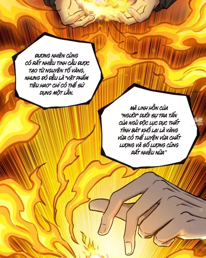 Tôi Chuyển Vàng Tại Mạt Thế Chap 668 - Next Chap 669