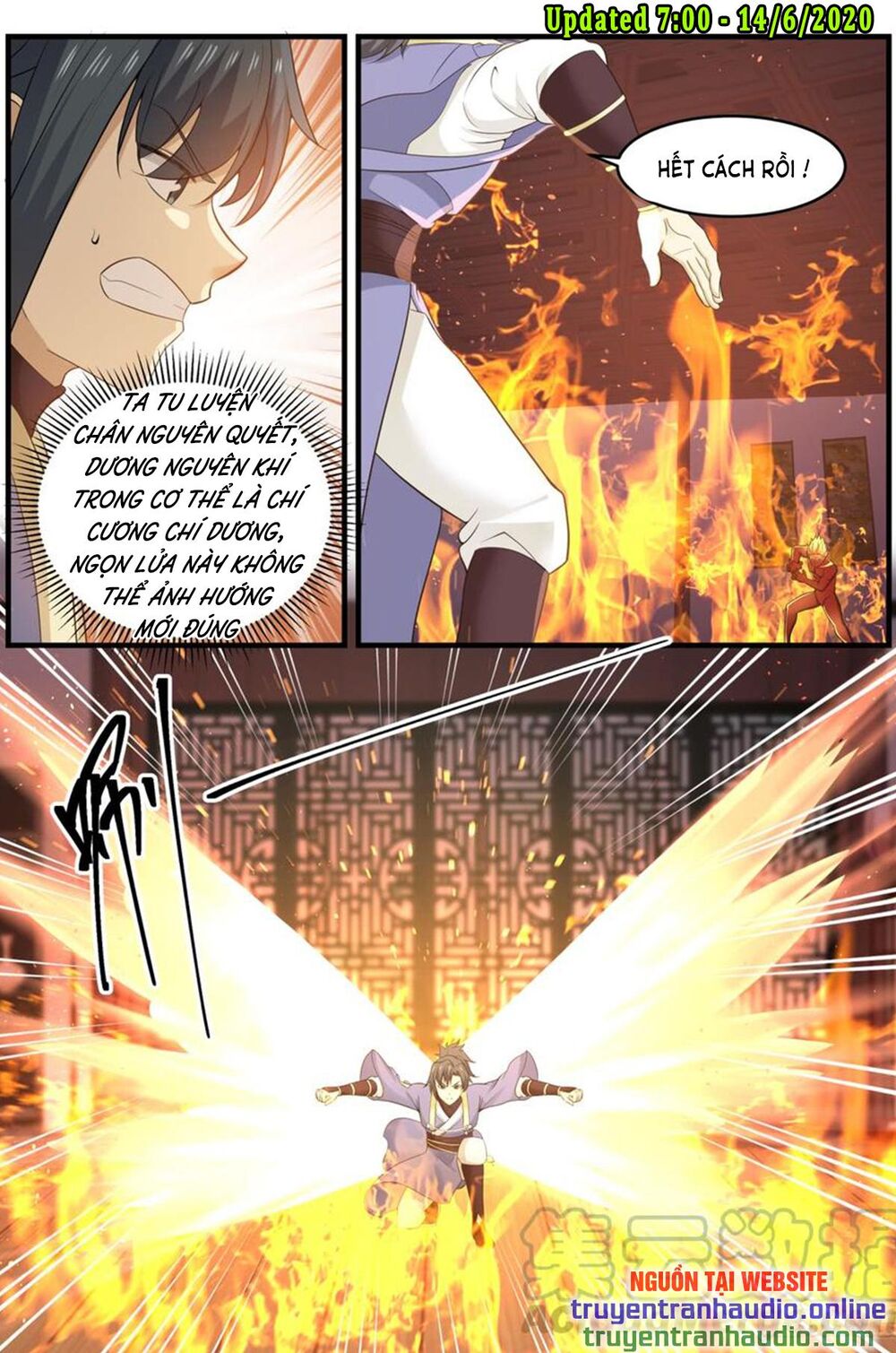 Võ Luyện Đỉnh Phong Chap 576 - Next Chap 577