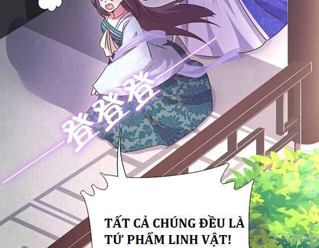 Thần Trù Cuồng Hậu Chap 40 - Next Chap 41