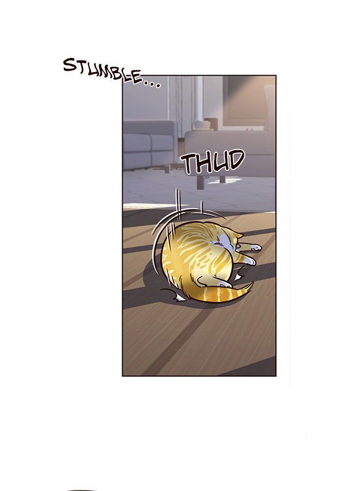 Hóa Thân Thành Mèo Chap 11 - Next Chap 12