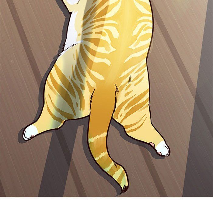 Hóa Thân Thành Mèo Chap 11 - Next Chap 12