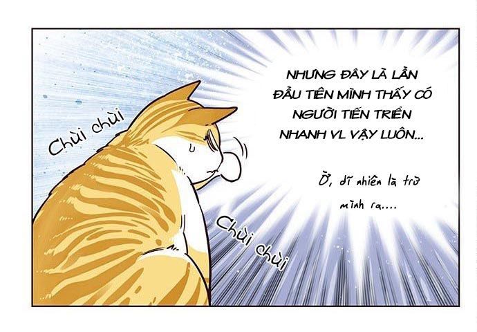 Hóa Thân Thành Mèo Chap 9 - Next Chap 10