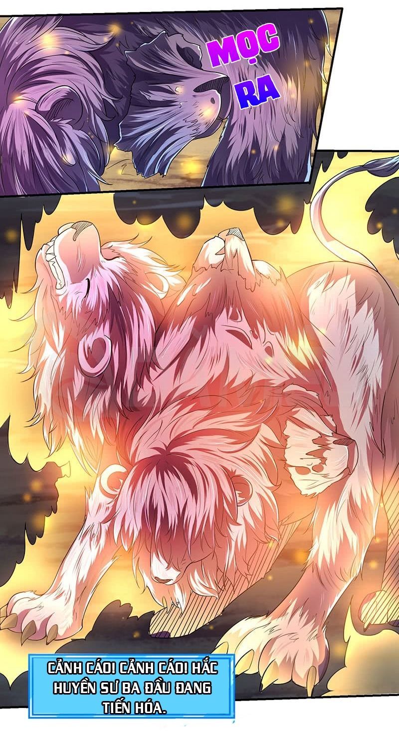 Tối Cường Thăng Cấp Chap 5 - Next Chap 6