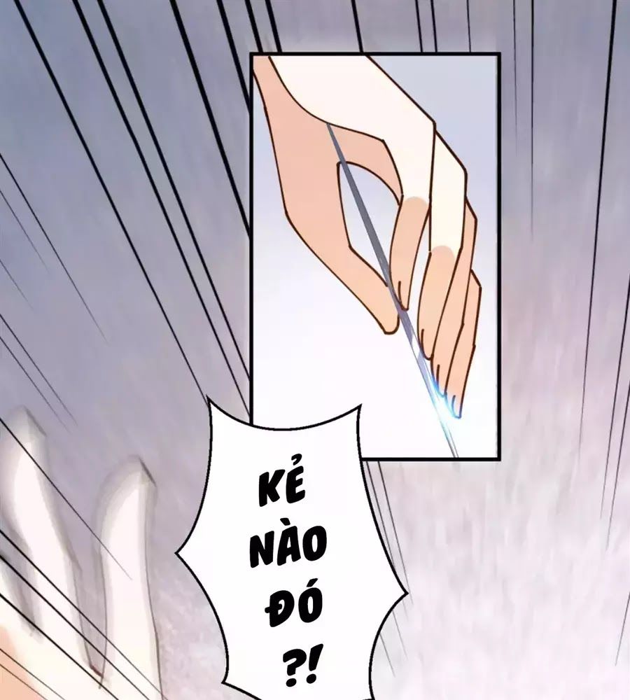 Trùng Sinh Chuyên Sủng Độc Phi Của Nhiếp Chính Vương Chap 35 - Next Chap 36