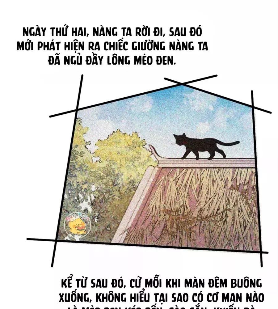 Trùng Sinh Chuyên Sủng Độc Phi Của Nhiếp Chính Vương Chap 39 - Next Chap 40