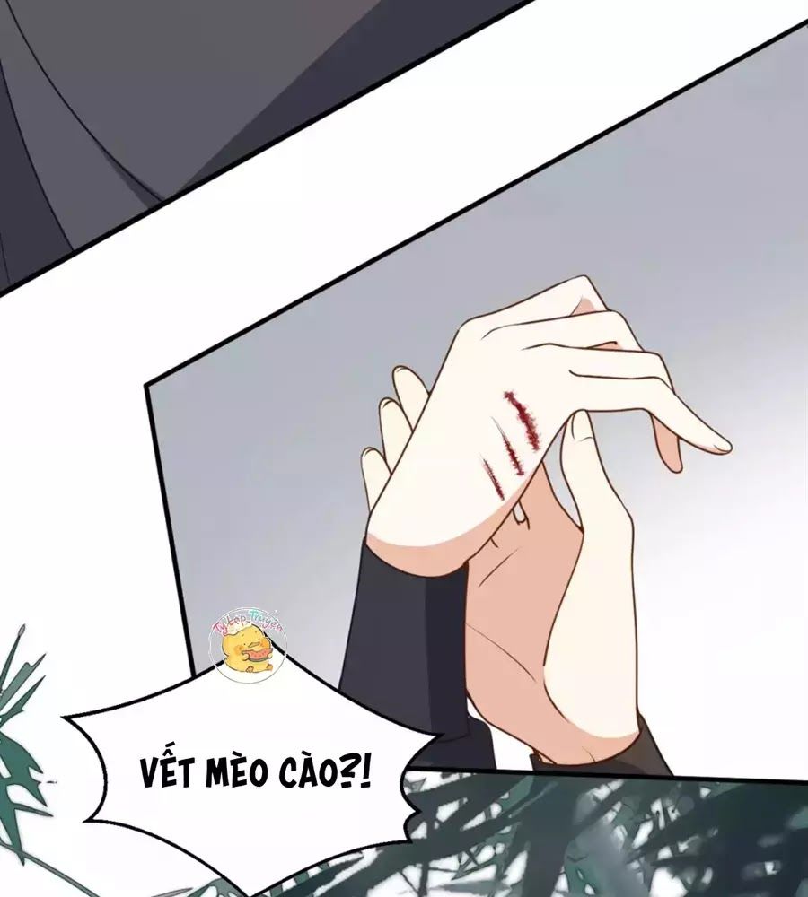 Trùng Sinh Chuyên Sủng Độc Phi Của Nhiếp Chính Vương Chap 39 - Next Chap 40