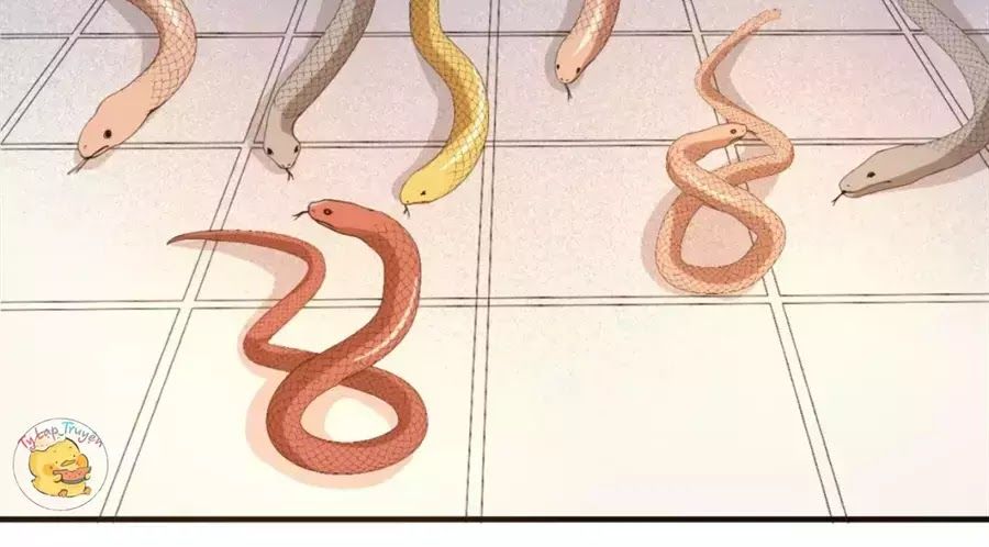 Trùng Sinh Chuyên Sủng Độc Phi Của Nhiếp Chính Vương Chap 40 - Next Chap 41