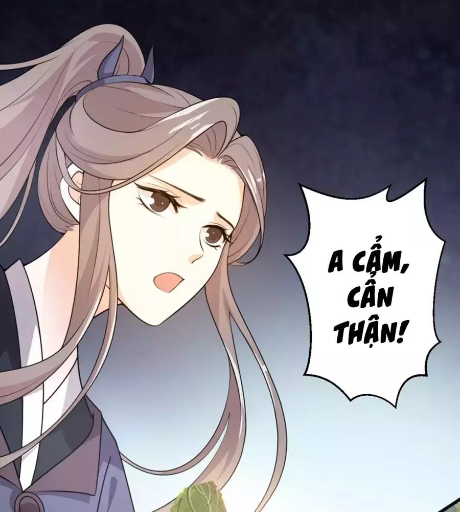 Trùng Sinh Chuyên Sủng Độc Phi Của Nhiếp Chính Vương Chap 41 - Next Chap 42