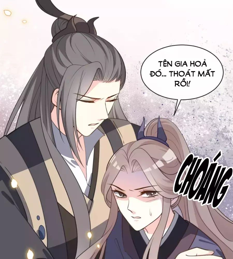 Trùng Sinh Chuyên Sủng Độc Phi Của Nhiếp Chính Vương Chap 41 - Next Chap 42