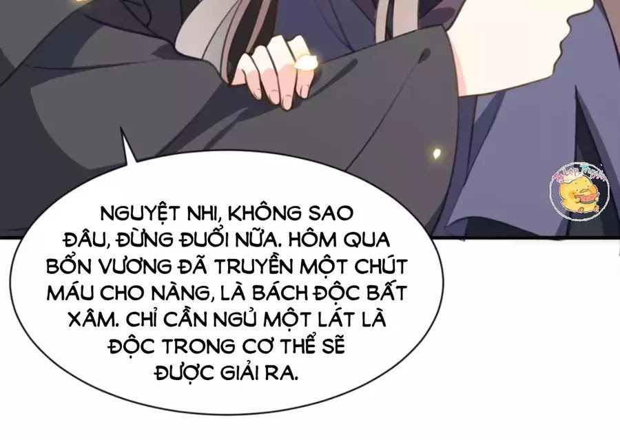 Trùng Sinh Chuyên Sủng Độc Phi Của Nhiếp Chính Vương Chap 41 - Next Chap 42