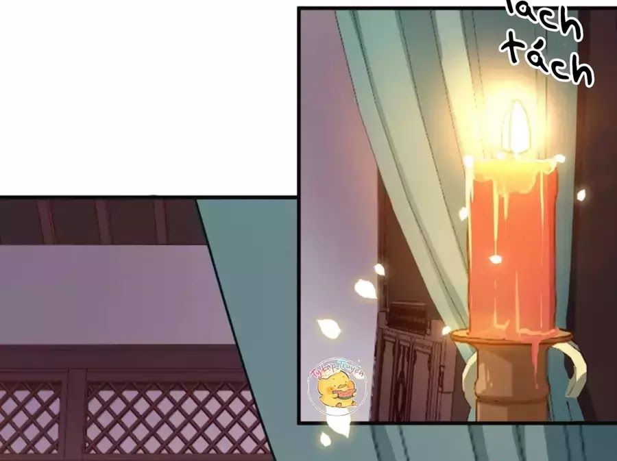 Trùng Sinh Chuyên Sủng Độc Phi Của Nhiếp Chính Vương Chap 41 - Next Chap 42