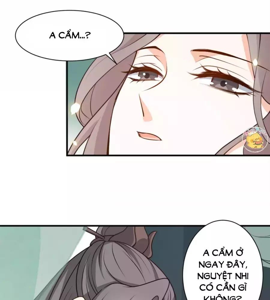 Trùng Sinh Chuyên Sủng Độc Phi Của Nhiếp Chính Vương Chap 41 - Next Chap 42