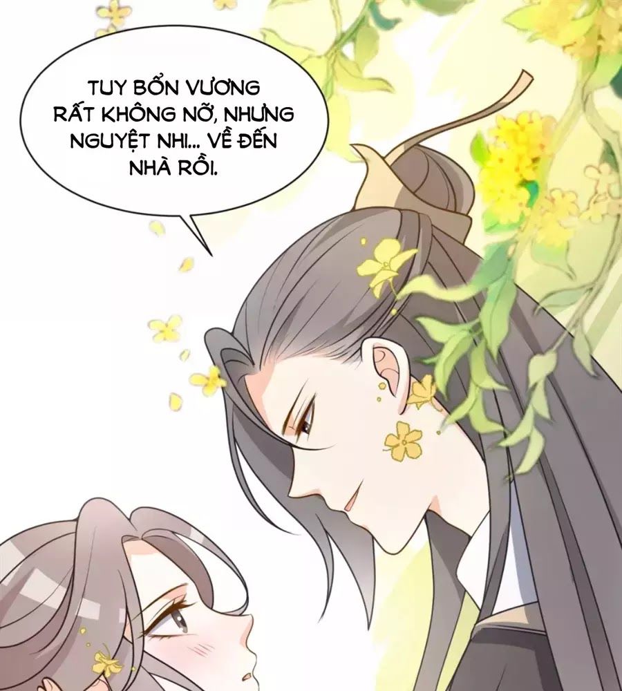 Trùng Sinh Chuyên Sủng Độc Phi Của Nhiếp Chính Vương Chap 42 - Next Chap 43