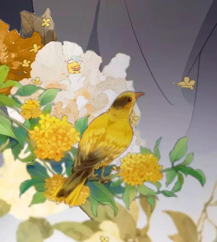 Trùng Sinh Chuyên Sủng Độc Phi Của Nhiếp Chính Vương Chap 42 - Next Chap 43