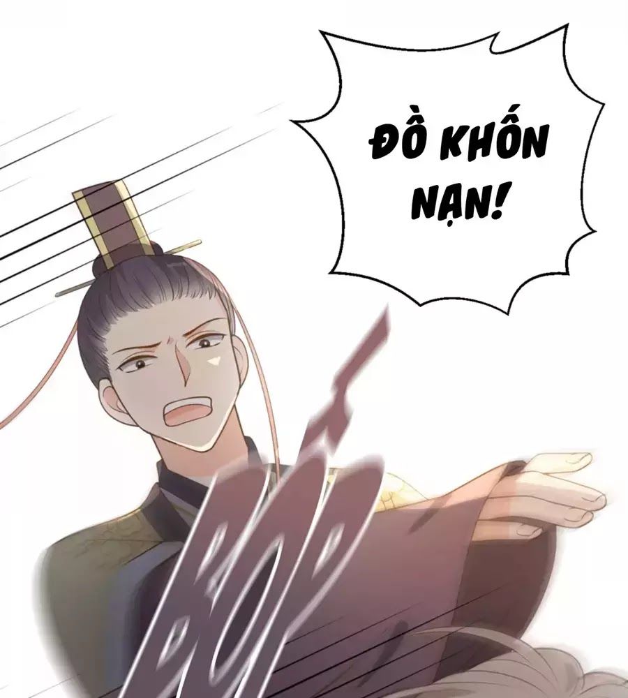 Trùng Sinh Chuyên Sủng Độc Phi Của Nhiếp Chính Vương Chap 44 - Next Chap 45