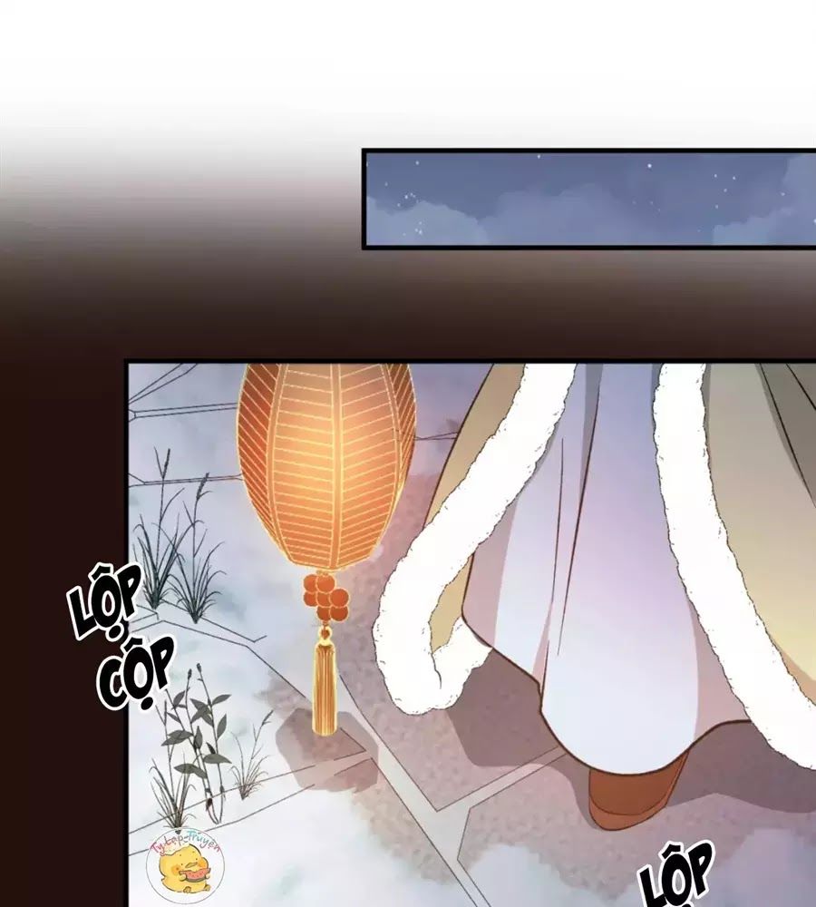 Trùng Sinh Chuyên Sủng Độc Phi Của Nhiếp Chính Vương Chap 45 - Next Chap 46