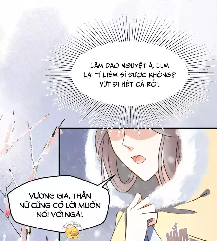 Trùng Sinh Chuyên Sủng Độc Phi Của Nhiếp Chính Vương Chap 46 - Next Chap 47