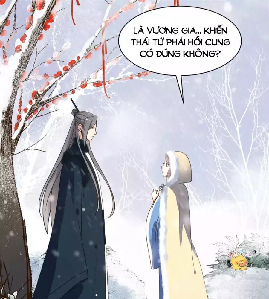 Trùng Sinh Chuyên Sủng Độc Phi Của Nhiếp Chính Vương Chap 46 - Next Chap 47