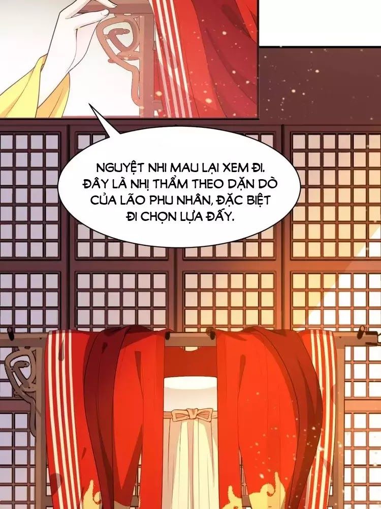 Trùng Sinh Chuyên Sủng Độc Phi Của Nhiếp Chính Vương Chap 48 - Next Chap 49