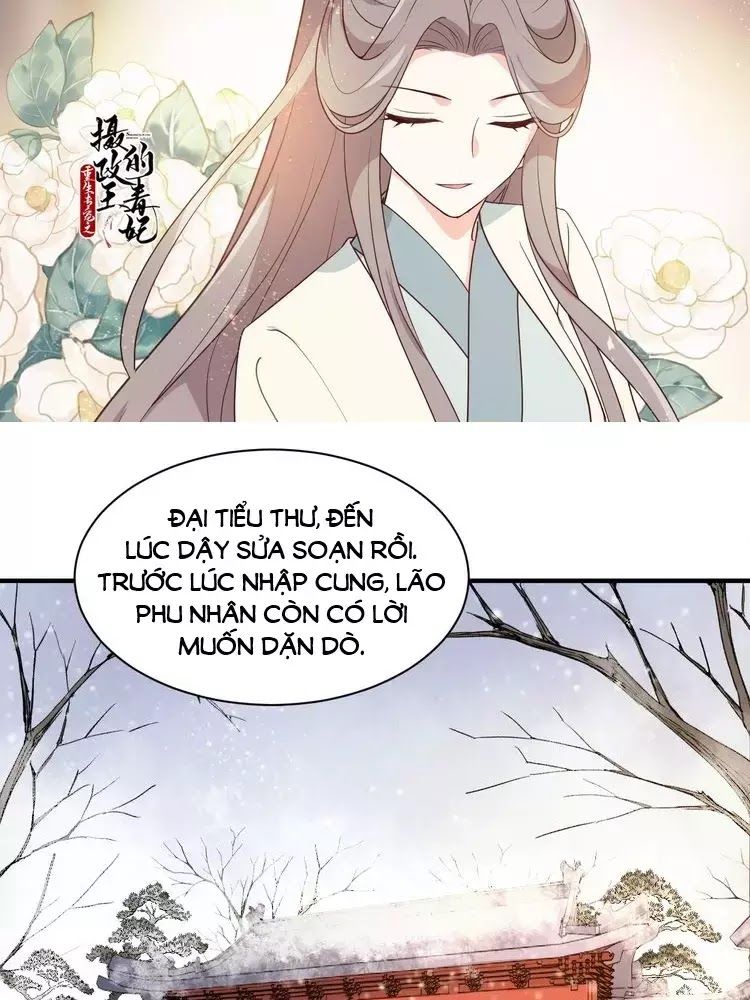 Trùng Sinh Chuyên Sủng Độc Phi Của Nhiếp Chính Vương Chap 48 - Next Chap 49