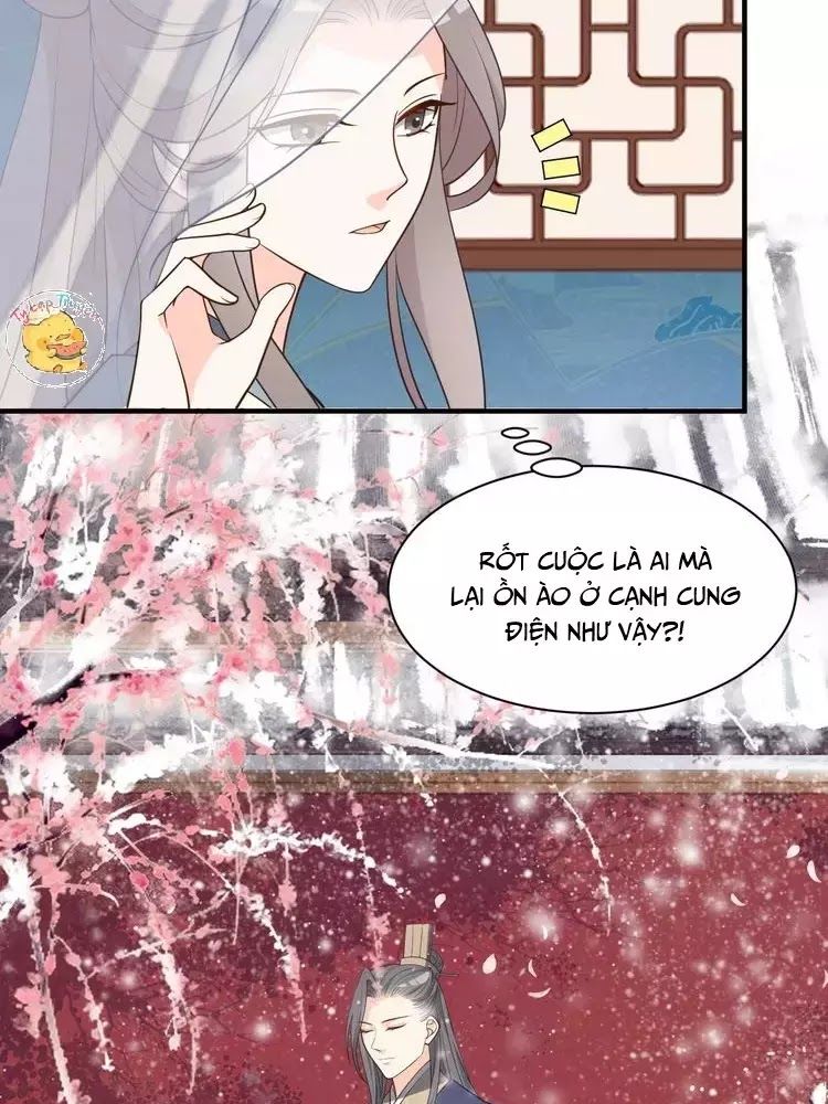 Trùng Sinh Chuyên Sủng Độc Phi Của Nhiếp Chính Vương Chap 48 - Next Chap 49
