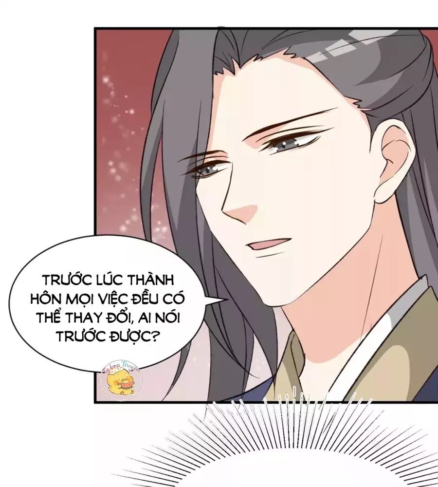 Trùng Sinh Chuyên Sủng Độc Phi Của Nhiếp Chính Vương Chap 49 - Next Chap 50