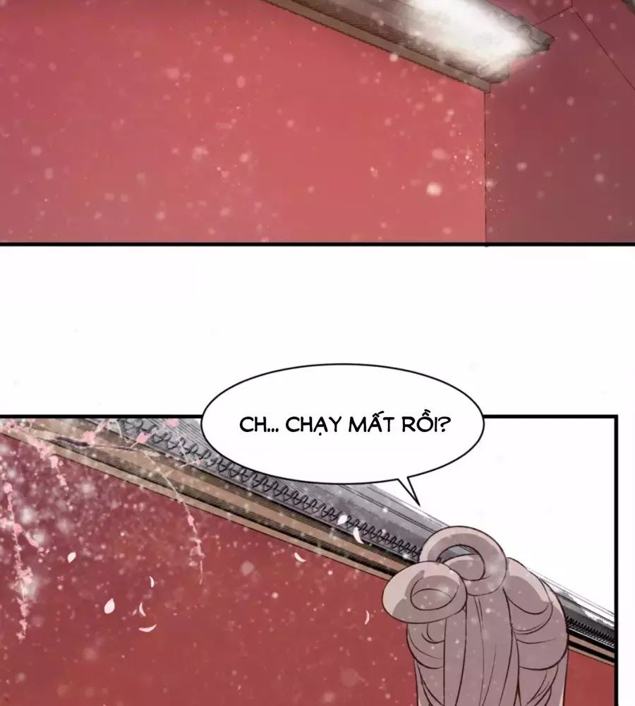 Trùng Sinh Chuyên Sủng Độc Phi Của Nhiếp Chính Vương Chap 49 - Next Chap 50