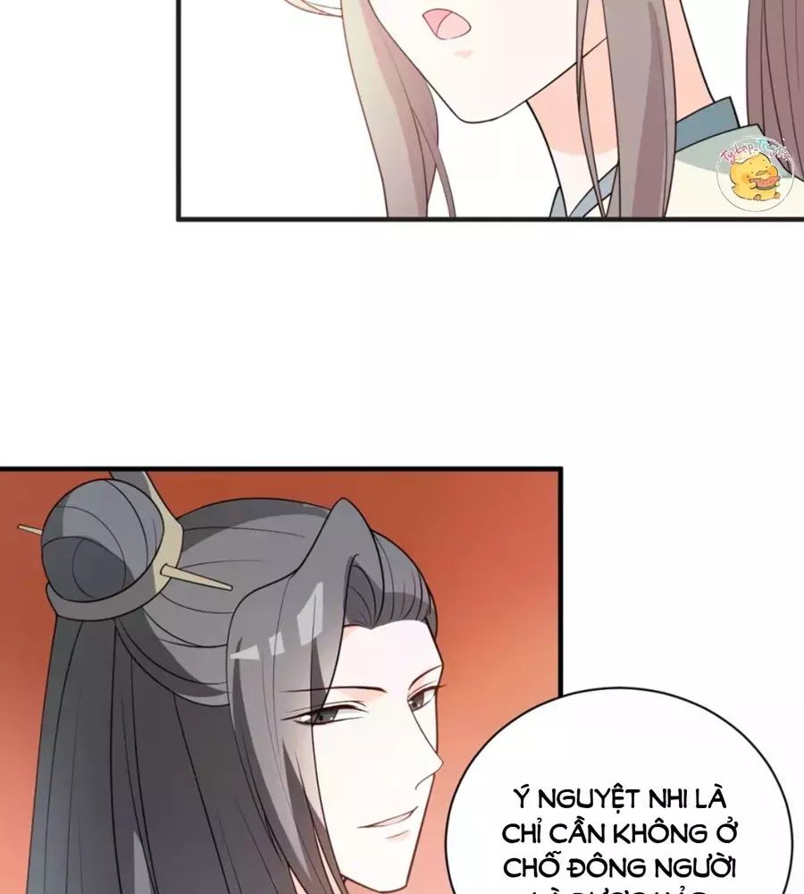 Trùng Sinh Chuyên Sủng Độc Phi Của Nhiếp Chính Vương Chap 50 - Next Chap 51