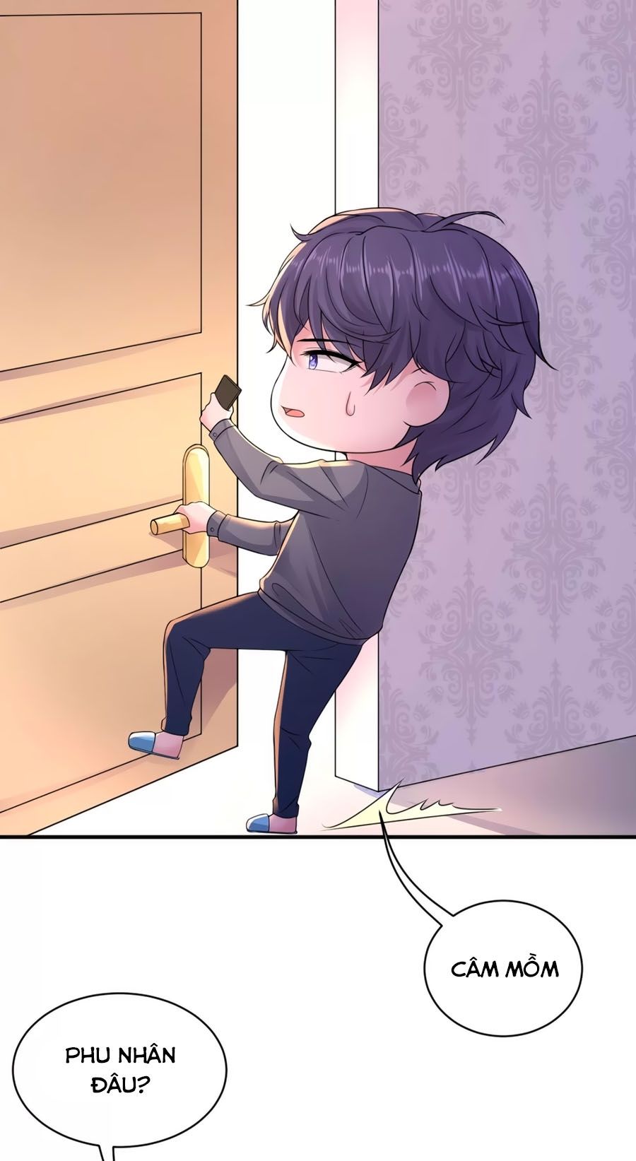 Băng Sơn Tổng Tài Sủng Thê Đến Vô Đạo Chap 27 - Next Chap 28