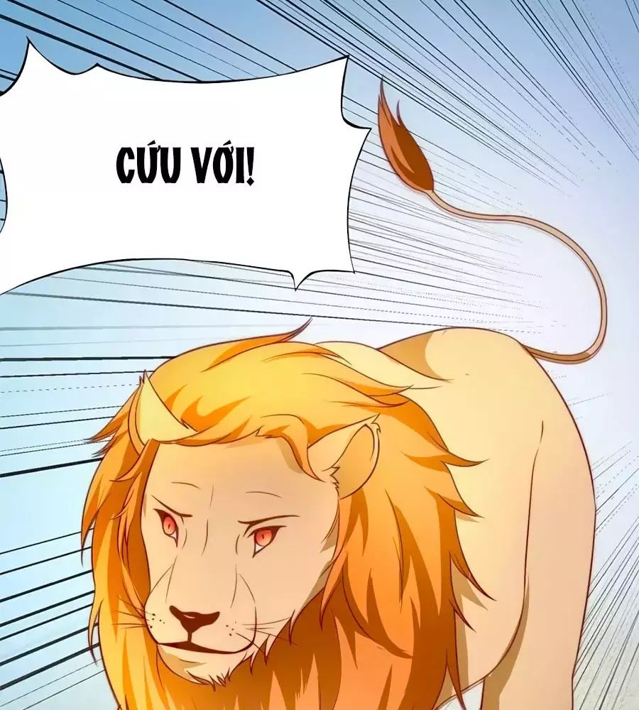 Sủng Hậu Của Vương Chap 1 - Next Chap 2