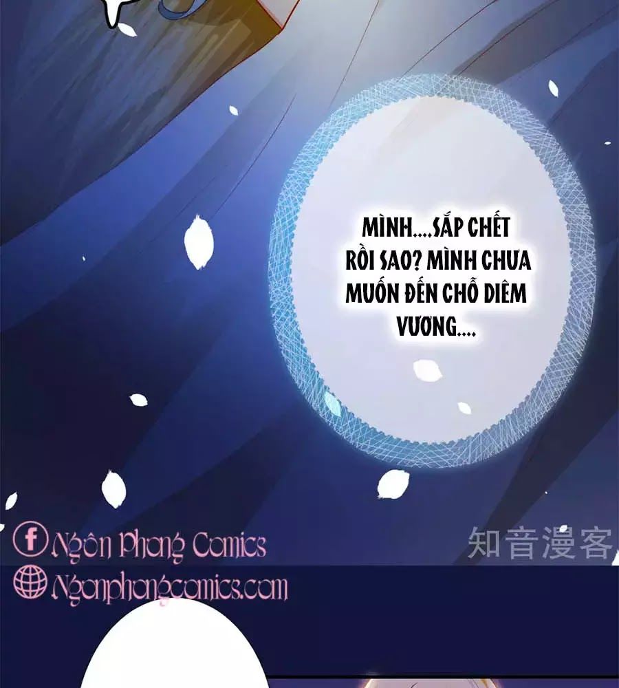 Sủng Hậu Của Vương Chap 12 - Next Chap 13