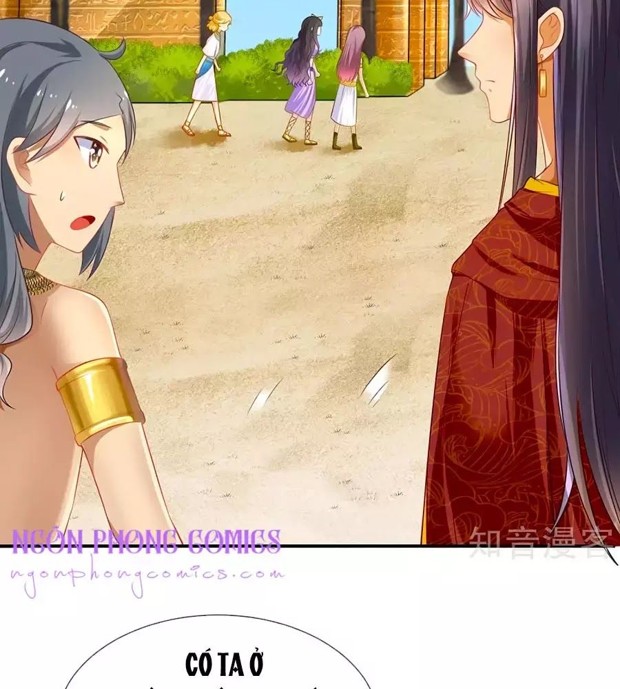 Sủng Hậu Của Vương Chap 2 - Next Chap 3