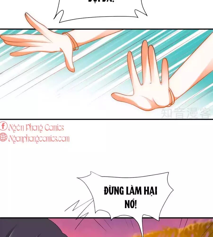 Sủng Hậu Của Vương Chap 21 - Next Chap 22