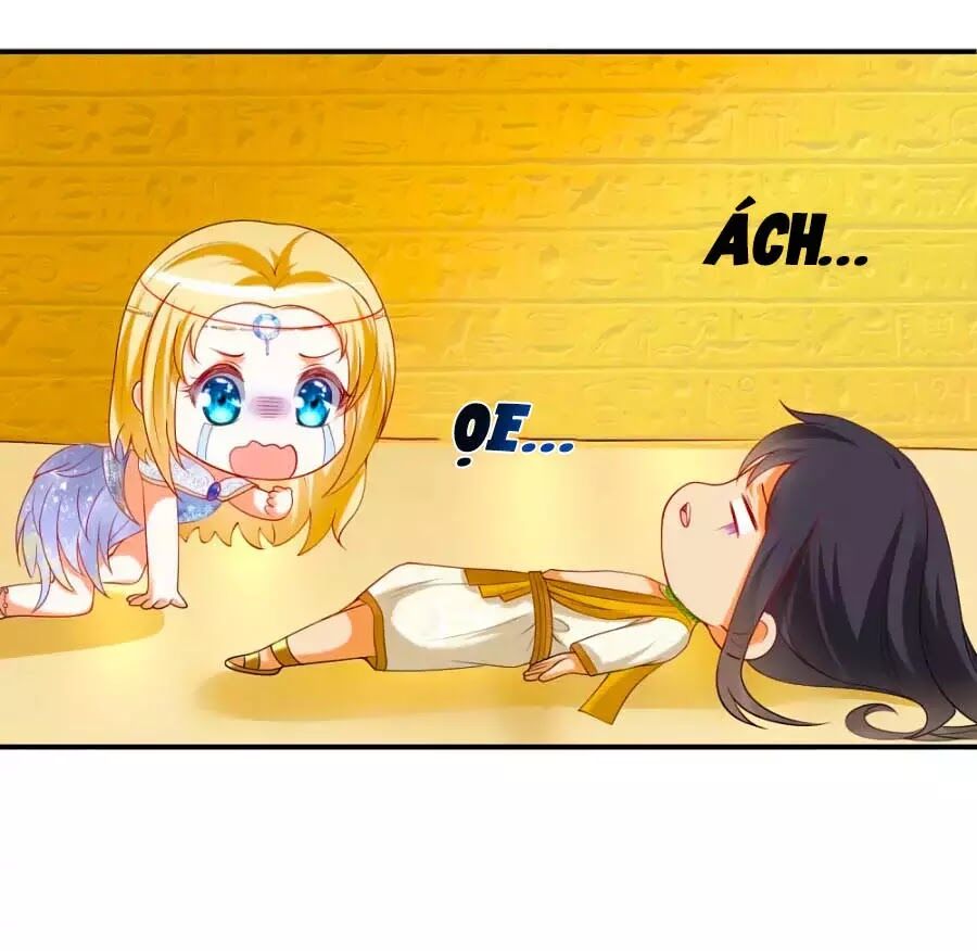 Sủng Hậu Của Vương Chap 23 - Next Chap 24